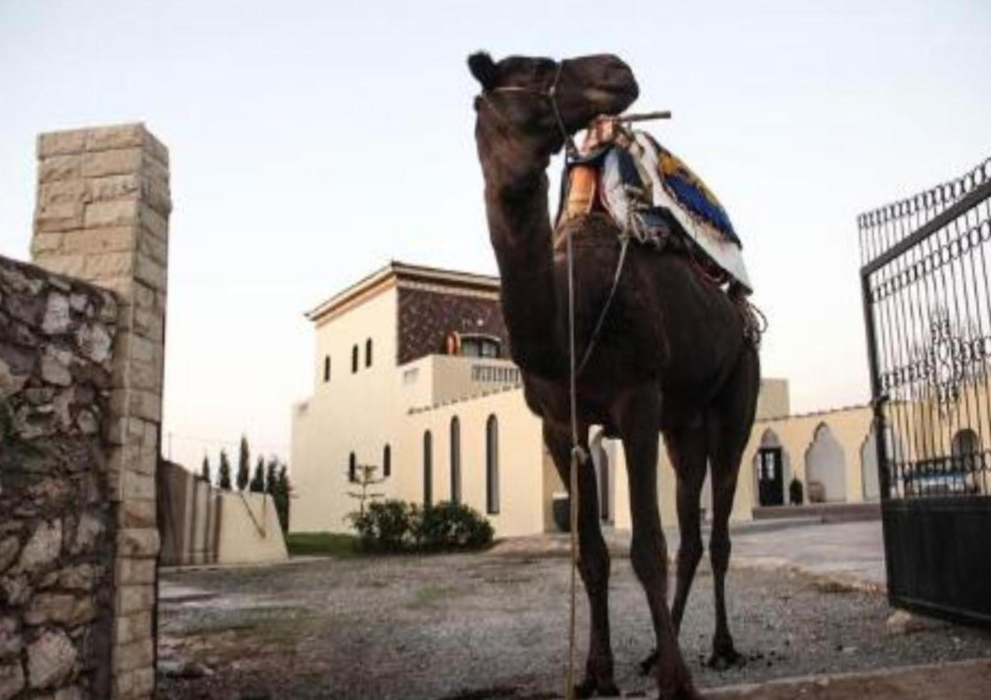 Hotel Sidi Kaouki Ayt Karoum Extérieur photo