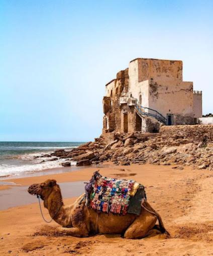 Hotel Sidi Kaouki Ayt Karoum Extérieur photo